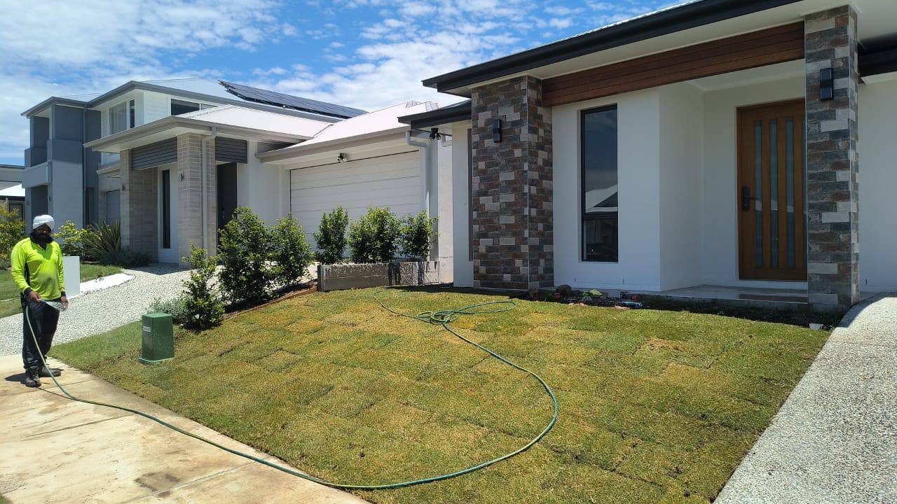 Professional Turf Installation - turf & lawn project in Brisbane (photo 3 of 3)