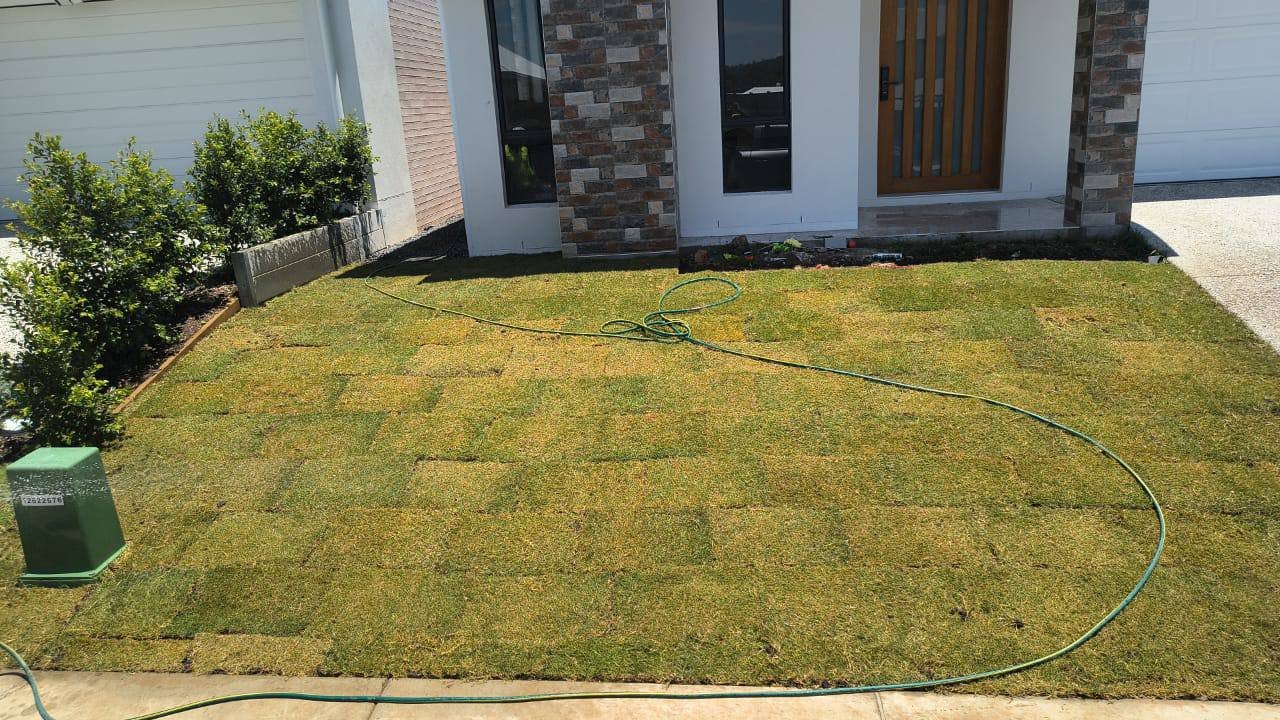 Professional Turf Installation - turf & lawn project in Brisbane