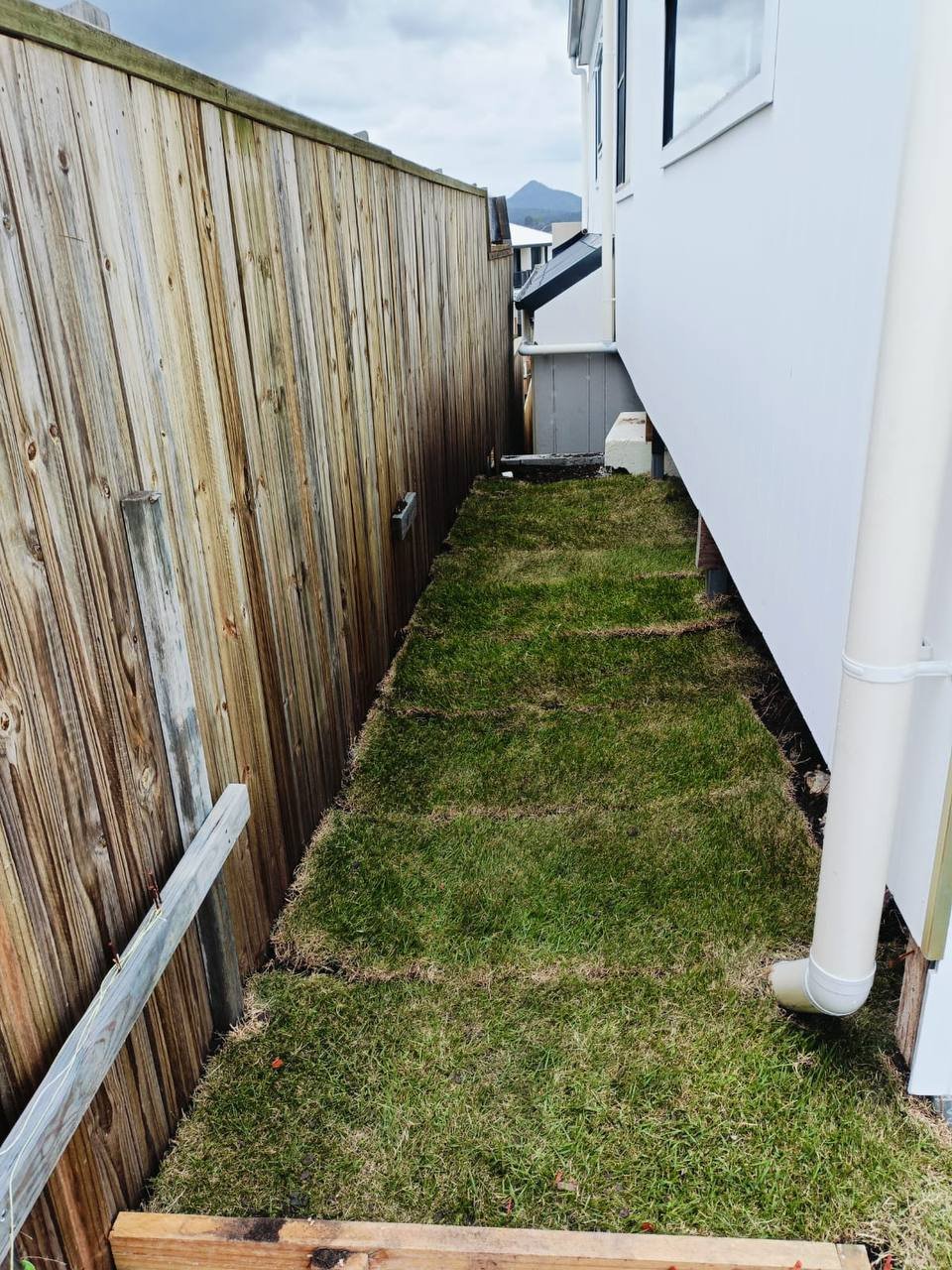 Garden Mulch Installation - landscaping project in Brisbane (photo 1 of 5)